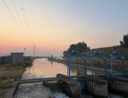 Las Cabañuelas 2026: ¿Qué auguran los primeros días de agosto para la campaña de riego en el Valle Inferior?