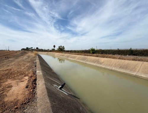Nuevos puntos de purga en la red mejoran la eficacia de los taponazos frente a las especies invasoras