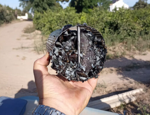 Especies invasoras: bajo control… sin bajar la guardia