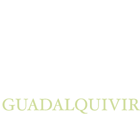 Inicio