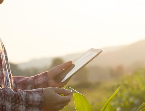 Digitalizamos el inventario de nuestra red para mejorar la planificación y el mantenimiento de las infraestructuras